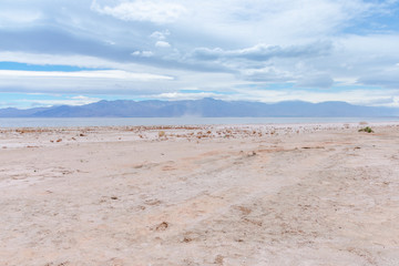 Desert view at Salton Sea recreation area