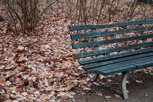 Distressed Wood Dark Green Painted Park Bench With Dry Fall Leaves Background In Tiergarten Park Of Berlin Germany. Autumn Solitude Landscape. Loneliness Concept. Seasonal Backdrop.