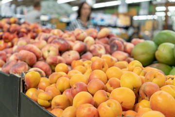 Fresh, ripe, juicy apricots on the store counter in front of fruits