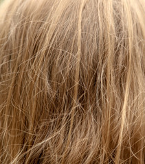 Girl's hair as an abstract background