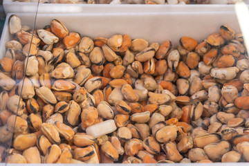 Mussels in the freezer in the supermarket