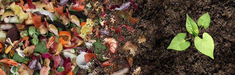 Composted Soil Cycle - obrazy, fototapety, plakaty