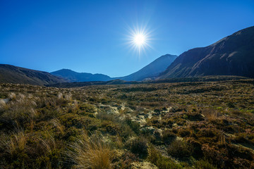 tongariro alpine crossing,sunstar,cone volcano mt ngauruhoe,new zealand 9
