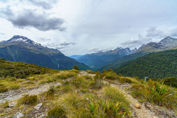 Fototapeta premium hiking the path, key summit track, southern alps, new zealand 7