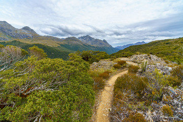 hiking the path, key summit track, southern alps, new zealand 8