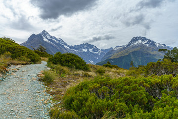 Naklejka na ściany i meble hiking the path, key summit track, southern alps, new zealand 13