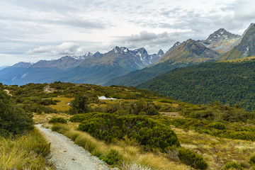 hiking the path, key summit track, southern alps, new zealand 14