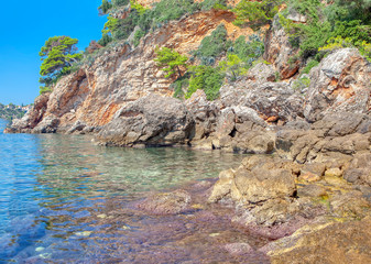 summer littoral, clear water and rocks 