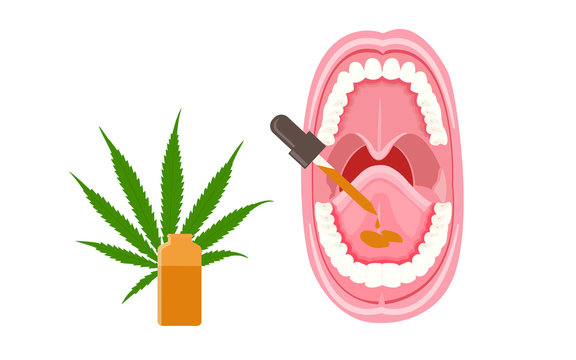 Sublingual CBD Oil Drops illustration about cannabis as herbal alternative medicine and chemical therapy, healthcare and medical science vector.