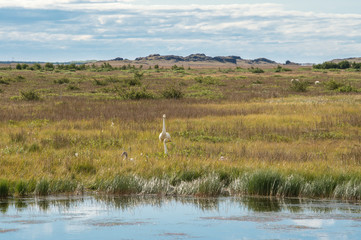 Paysage Islande