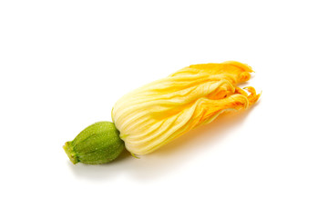 ズッキーニの花