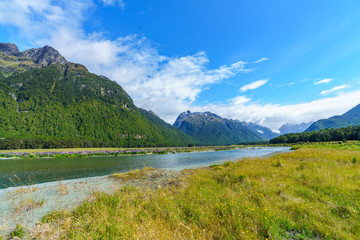 meadow with lupins on a river between mountains, new zealand 20