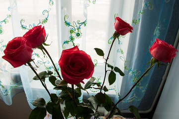 Lovely bouquet with big flowers of roses of tender coral color are staying on the table at the window. Green leaves and thorns. Still life. Calm blue curtain background