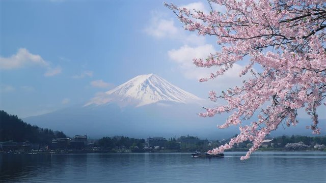 Mt. Fuji and cherry blossoms. Japanese spring landscape looking over the lake Kawaguchi at Yamanashi pref in Japan.