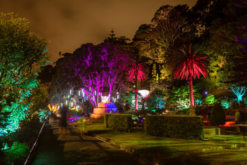 Botanic garden illuminated with artificial lights