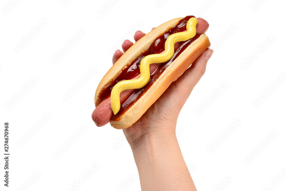 Wall mural hot dog in woman hand isolated on white background. copy space.