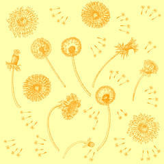 Dandelions Flowers Seamless Pattern.  Hand drawn sketches  - 274671391