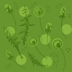 Dandelions Flowers Seamless Pattern.  Hand drawn sketches - 274671572