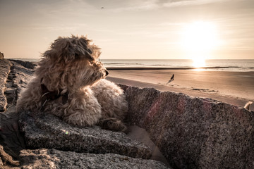 Norderney