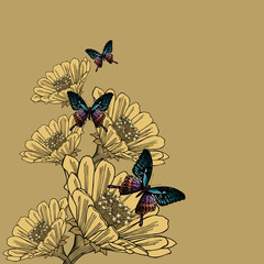 Background with flowers and butterflies. Hand-drawing. Vector illustration. - 274673378
