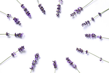 The sprigs of flowering lavender are arranged in a circle on a bright background. blank for a gentle invitation