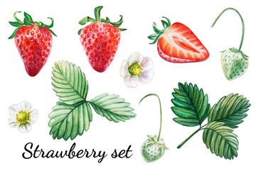 Watercolor set from red juicy strawberries with leaves and flower. Food background, painted bright composition. Hand drawn food illustration. Fruit print. Summer sweet fruits and berries.