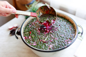 Okroshka -Russian traditional summer cold soup with kvass, meat, vegetables, egg