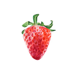 Watercolor sinle bright red juicy strawberry. Food background, painted bright composition. Hand drawn food illustration. Fruit print. Summer sweet fruits and berries.