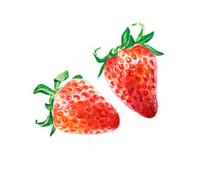 Watercolor two bright red juicy strawberries. Food background, painted bright composition. Hand drawn food illustration. Fruit print. Summer sweet fruits and berries.