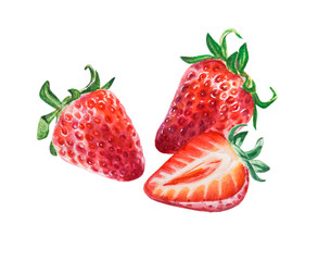 Watercolor red juicy strawberries with half berry. Food background, painted bright composition. Hand drawn food illustration. Fruit print. Summer sweet fruits and berries.