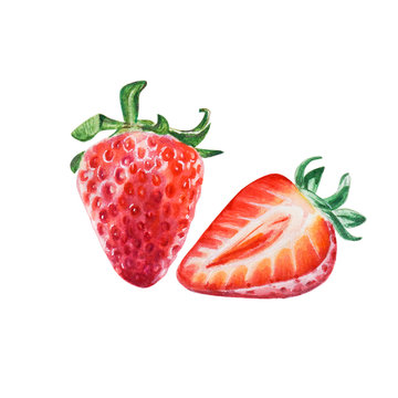 Watercolor red juicy strawberry with half berry. Food background, painted bright composition. Hand drawn food illustration. Fruit print. Summer sweet fruits and berries.