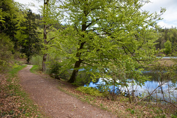 Nonnenmattweiher_8431