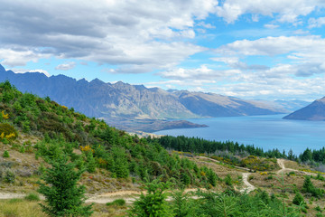 hiking the queenstown hill walkway, lake waktipu, new zealand 5