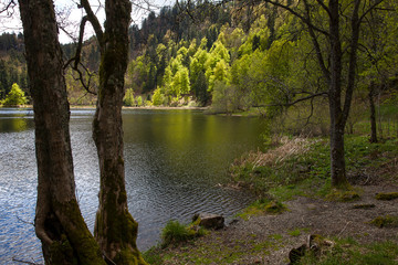 Nonnenmattweiher_8553