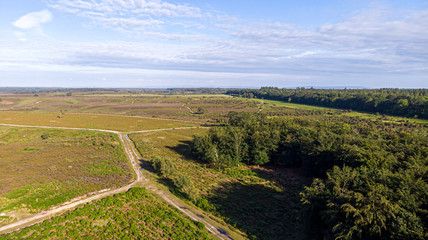 Fototapeta na wymiar Aerial view of the New Forest National Park with heathland, forest and trail path under a majestic blue sky and some white clouds