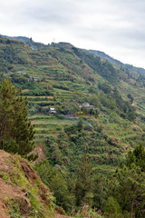 Fototapeta na wymiar Terraced fields in the mountain area in Luzon island in the Philippines