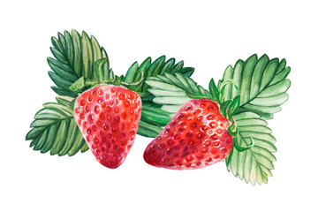 Watercolor red juicy strawberries with leaves . Food background, painted bright composition. Hand drawn food illustration. Fruit print. Summer sweet fruits and berries.