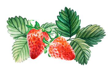 Watercolor red juicy strawberries with leaves . Food background, painted bright composition. Hand drawn food illustration. Fruit print. Summer sweet fruits and berries.