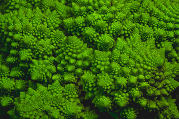 Romanesco broccoli vegetable Close up