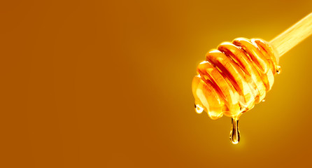 Honey dripping from honey dipper over yellow background. Thick honey dipping from the wooden honey...