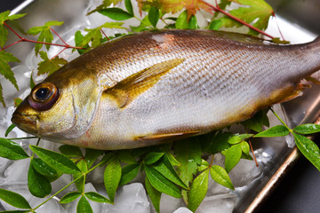 関いさき入荷しました