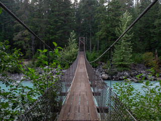 suspension bridge in a canadian forest