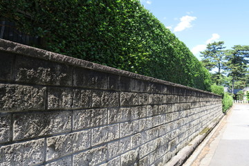 古いブロック塀と生垣