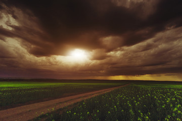 Storm over the field