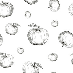 Apple background. Seamless pattern of hand-drawn black apples on white background. Sketch style vector backdrop.