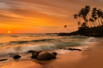 Romantic sunset on a tropical beach with palm trees © Anton Petrus