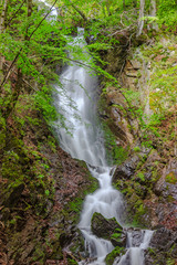 Beautiful wilde waterfall in forest
