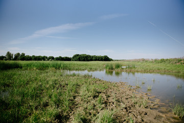 Rescue of fry of fishes from arid reservoirs