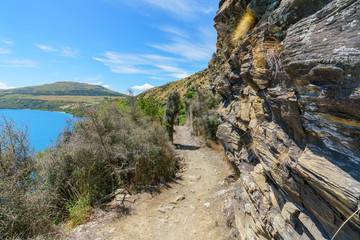 hiking jacks point track with view of lake wakatipu, queenstown, new zealand 61