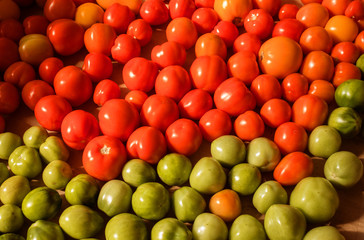 fresh tomatoes. red ripe and green unripe cherry tomatoes closeup top view. a small crop of tomatoes